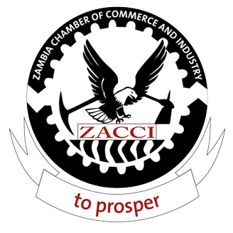 ZACCI | Official Website